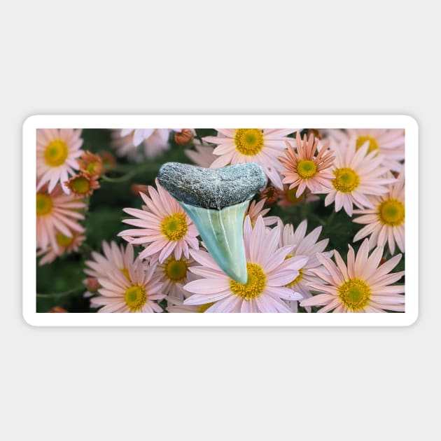 Pink Flowers and Shark Tooth Fossil in the Garden Print Sticker by AtlanticFossils